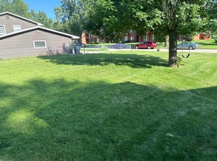 Lisa W.'s lawn care services service result