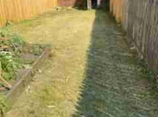 Kelly W.'s turf maintenance service result