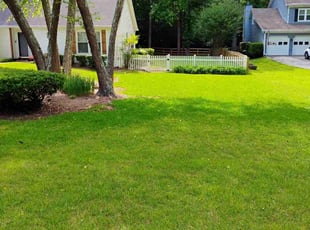 Robert B.'s turf maintenance service result