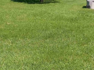 Eva Q.'s lawn care service result