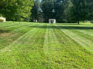 Heidi N.'s lawn care services service result