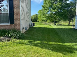 Tj U.'s turf maintenance service result