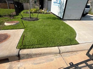 Terri M.'s landscaping service result