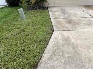 Timothy M.'s lawn service service result