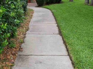 Steve W.'s grass maintenance service result