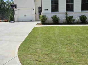 Bradlee B.'s lawn care services service result