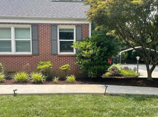 David M.'s Mulching service result