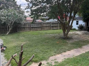 Andrew P.'s lawn care services service result