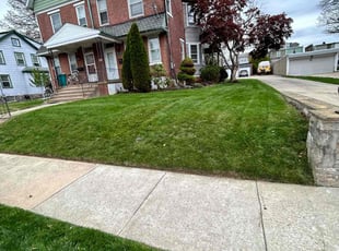 Carrie L.'s lawn service service result