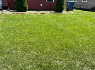 Deana J.'s lawn care service result