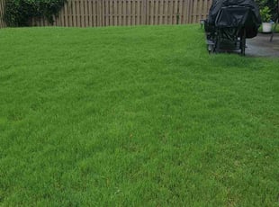 Paula M.'s grass maintenance service result