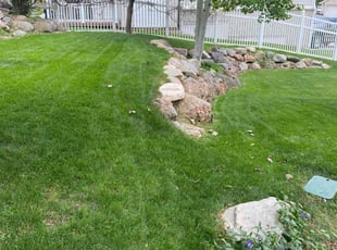 Les T.'s turf care service result