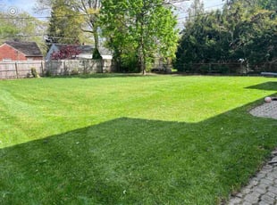Jacqueline M.'s lawn care services service result