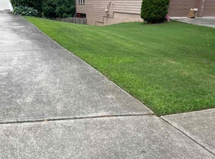 Joe F.'s lawn maintenance service result