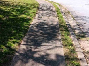 Ben C.'s grass cutting service result