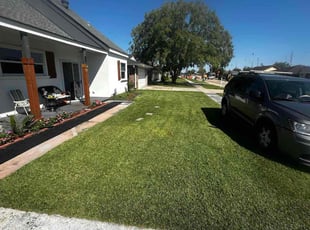 Daniel W.'s turf care service result