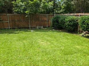 Brian V.'s grass cutting service result