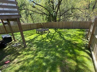 Kevin H.'s lawn care service result