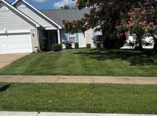 Andrew K.'s turf maintenance service result