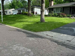 Linda L.'s lawn service service result