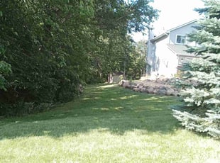 Lynette A.'s turf maintenance service result