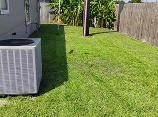 Joe Y.'s lawn maintenance service result