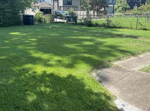 Jeanetta S.'s turf care service result