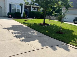 Katrina D.'s grass cutting service result