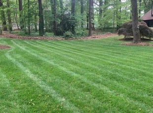 David M.'s grass cutting service result