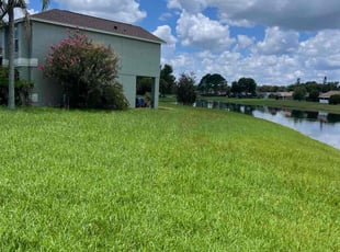 Kimberly T.'s turf care service result