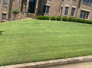 Jeffrey J.'s grass maintenance service result