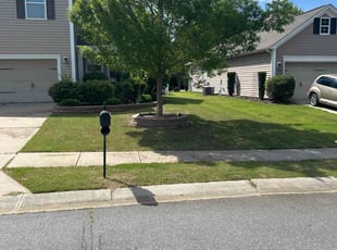 Mary W.'s lawn care service result