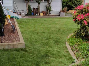 Jimmy Z.'s Leaf Removal service result