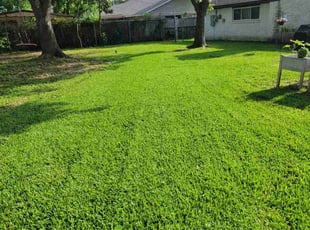 Michael D.'s lawn care services service result