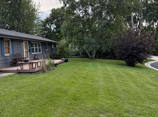 Ben H.'s lawn care service result