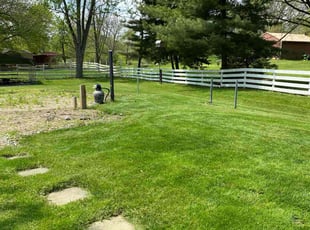 Andres L.'s grass maintenance service result