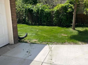 Grace W.'s lawn service service result