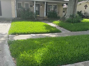 Sandra L.'s turf maintenance service result
