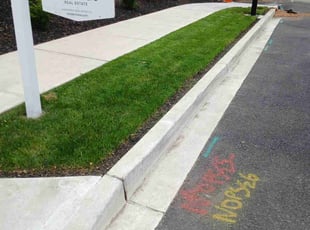 Denise T.'s lawn maintenance service result