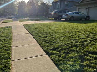 James P.'s lawn service service result