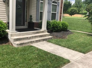 Frances H.'s grass maintenance service result