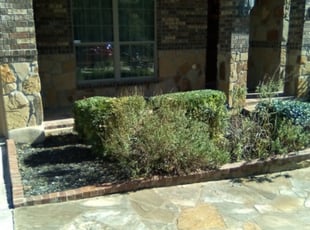 Dennis C.'s Bush Trimming service result