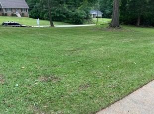 Sherry M.'s turf care service result