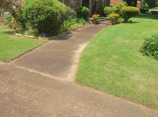 Marchell W.'s lawn care service result
