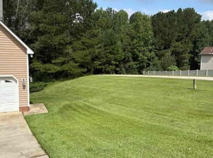 Eva C.'s lawn service service result