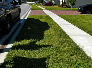 Chandra B.'s grass cutting service result
