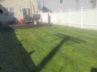 Jack B.'s grass cutting service result