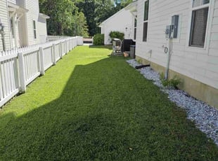 Lisa L.'s lawn care service result