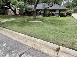 Jose T.'s lawn care services service result