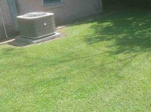Jay T.'s lawn maintenance service result